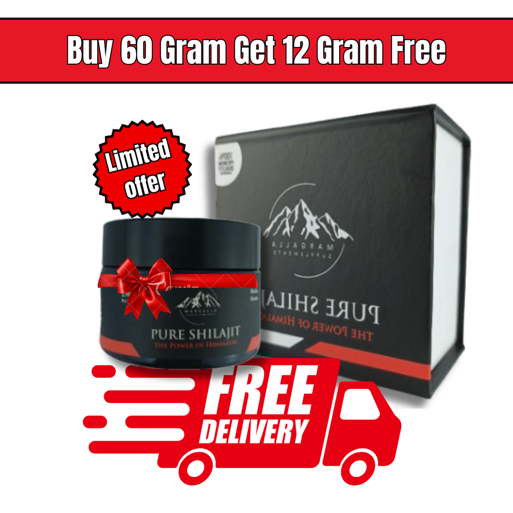 Shilajit 60g