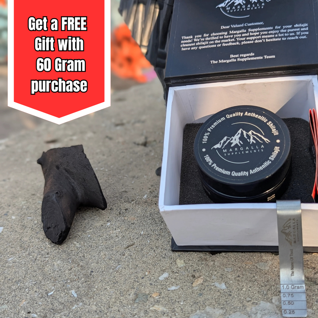 Shilajit 60g