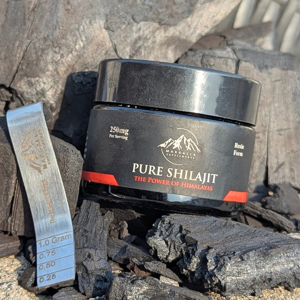 Shilajit 30g