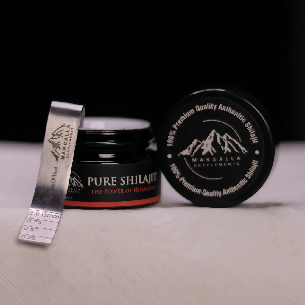 Shilajit 20g