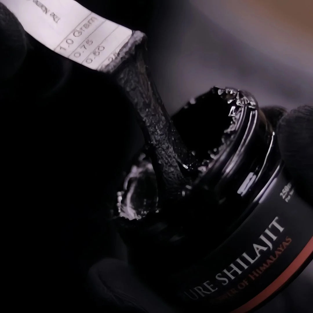 Shilajit 20g