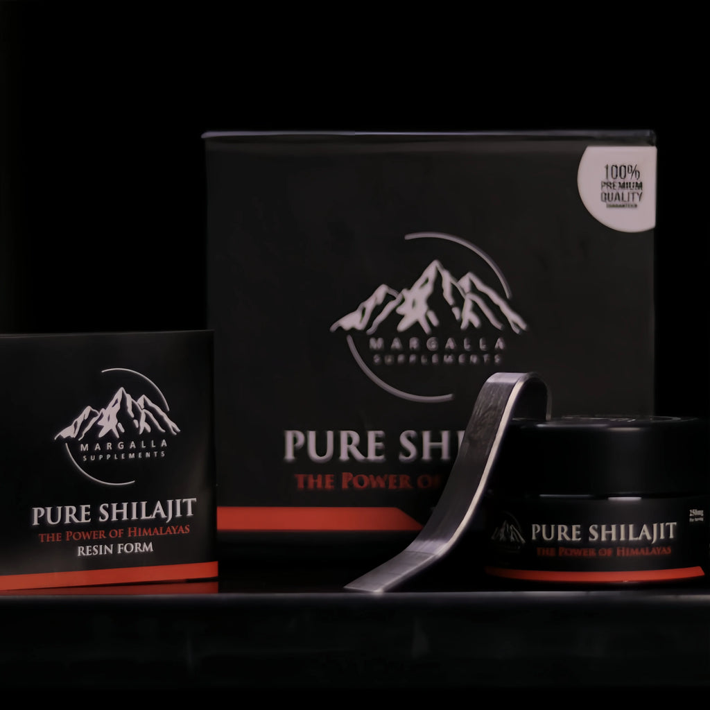 Shilajit 20g
